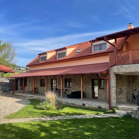Szoegedi Villa バダチョニトマイ エクステリア 写真