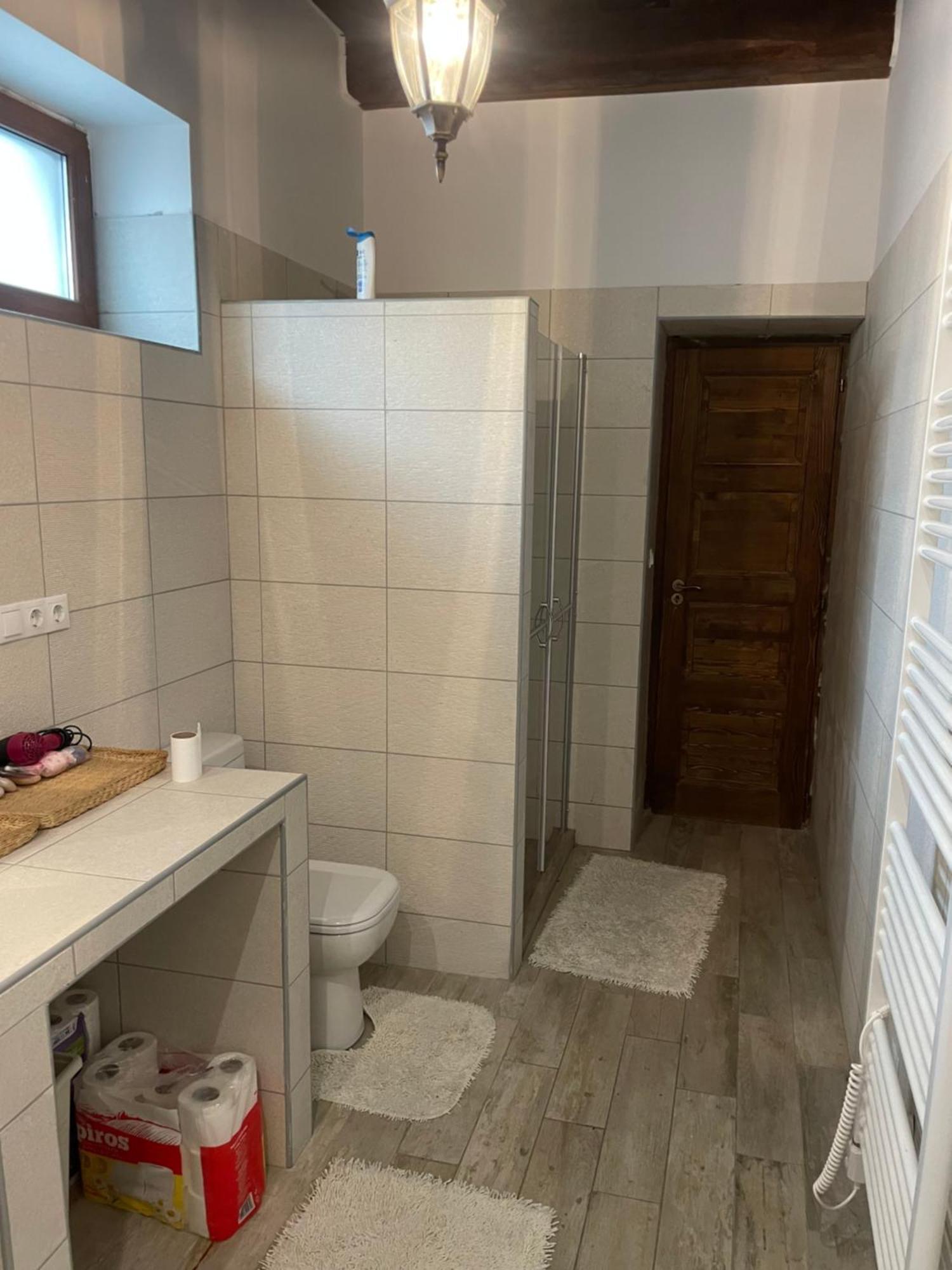 Szoegedi Villa バダチョニトマイ エクステリア 写真
